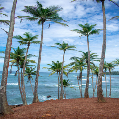 Beaches in Srilanka