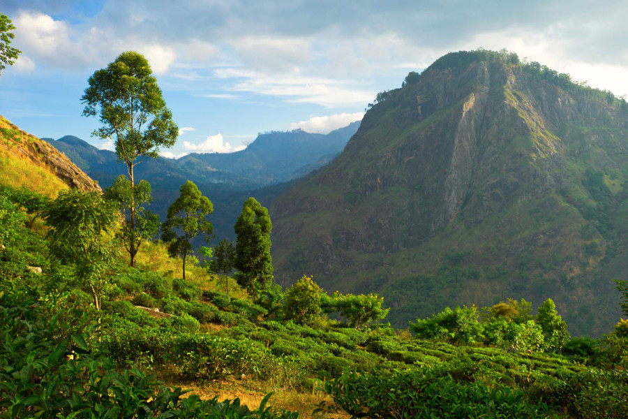 Ella Town - Tea Trail, Train Ride, Ella Rock Srilanka