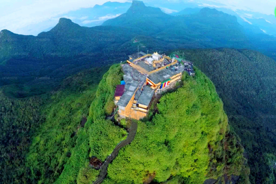 Adam’s Peak (Sri Pada): A Sacred Pilgrimage and Hiking Experience in Sri Lanka