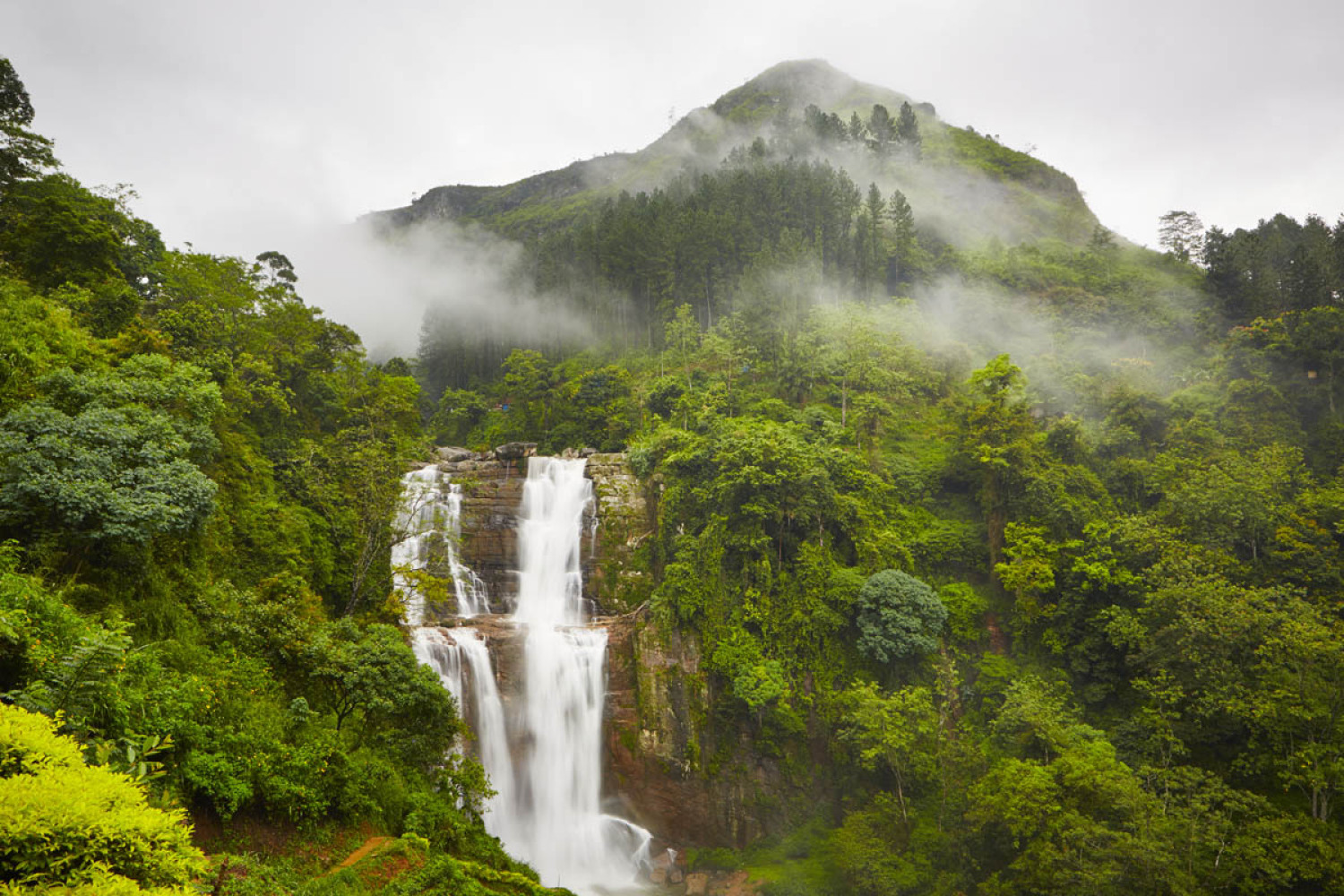 Day 5: Kandy to Nuwara Eliya