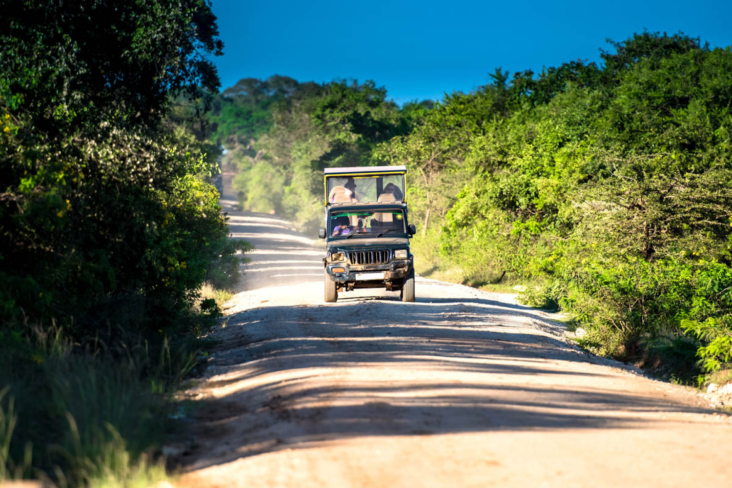 Day 01 - Yala National Park