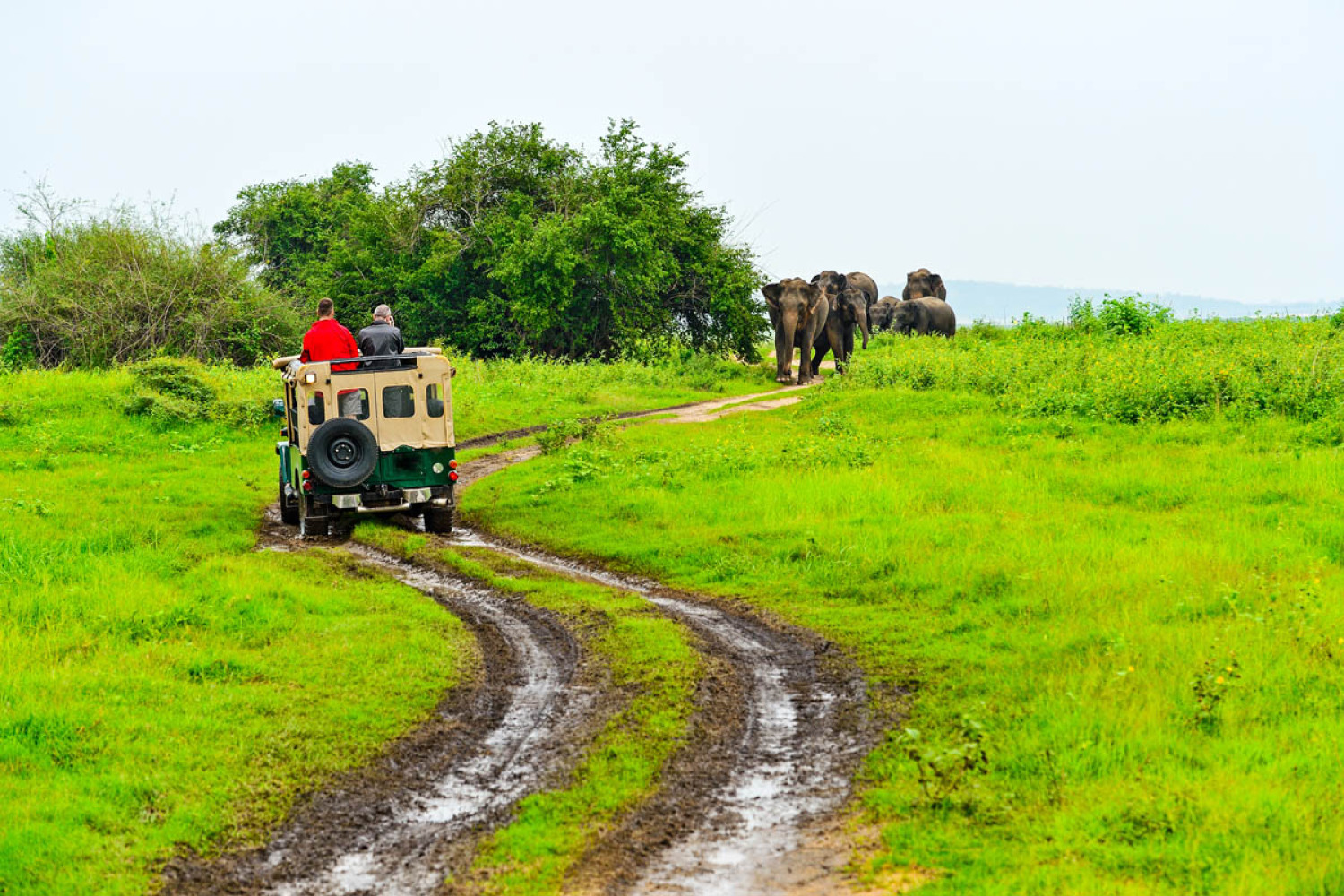 Day 2: Negombo to Wilpattu National Park